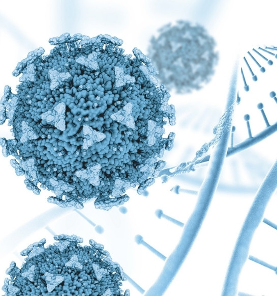 Oncology (Liver - Lung Transplants) Treatments Turkey